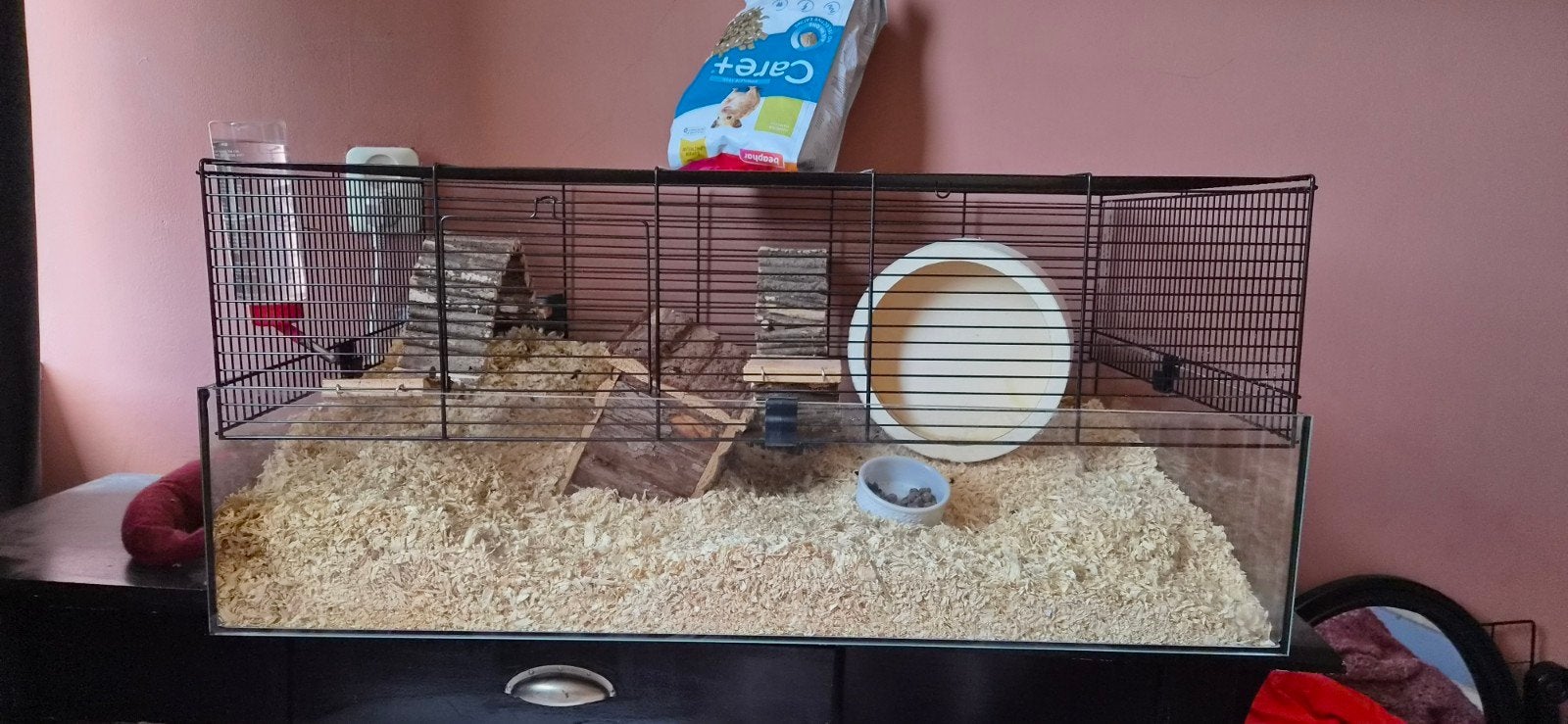 Hamster met kooi OPHALEN 10 euro, Dieren en Toebehoren, Knaagdieren, Hamster, Mannelijk, Mei, Tam