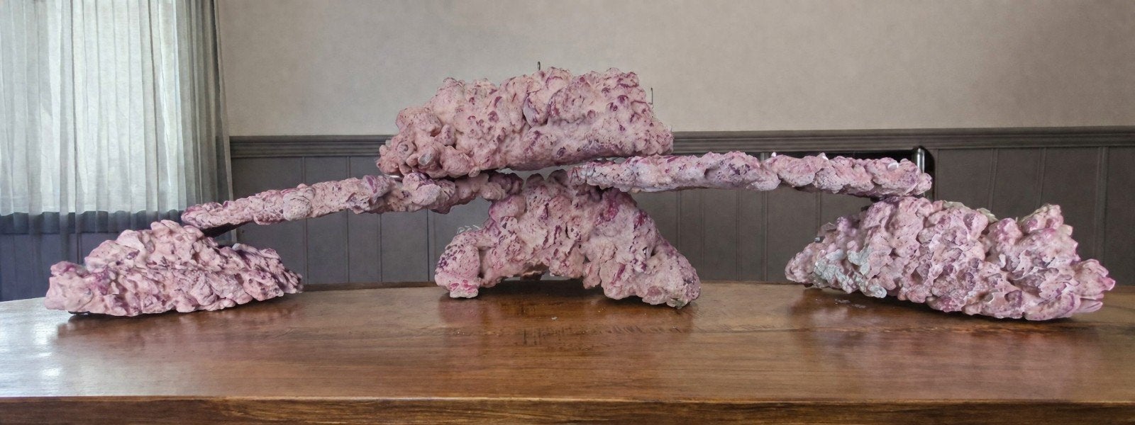 reefrock, Ophalen, Nieuw, Plant(en), Steen of Hout
