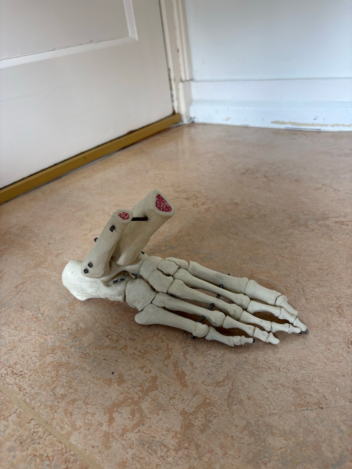 Modelvoet voor pedicure, Ophalen