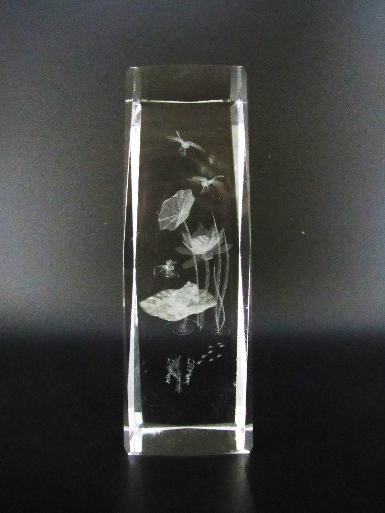 3D Kristal blokken - Dieren, Ophalen of Verzenden, Nieuw, Dier
