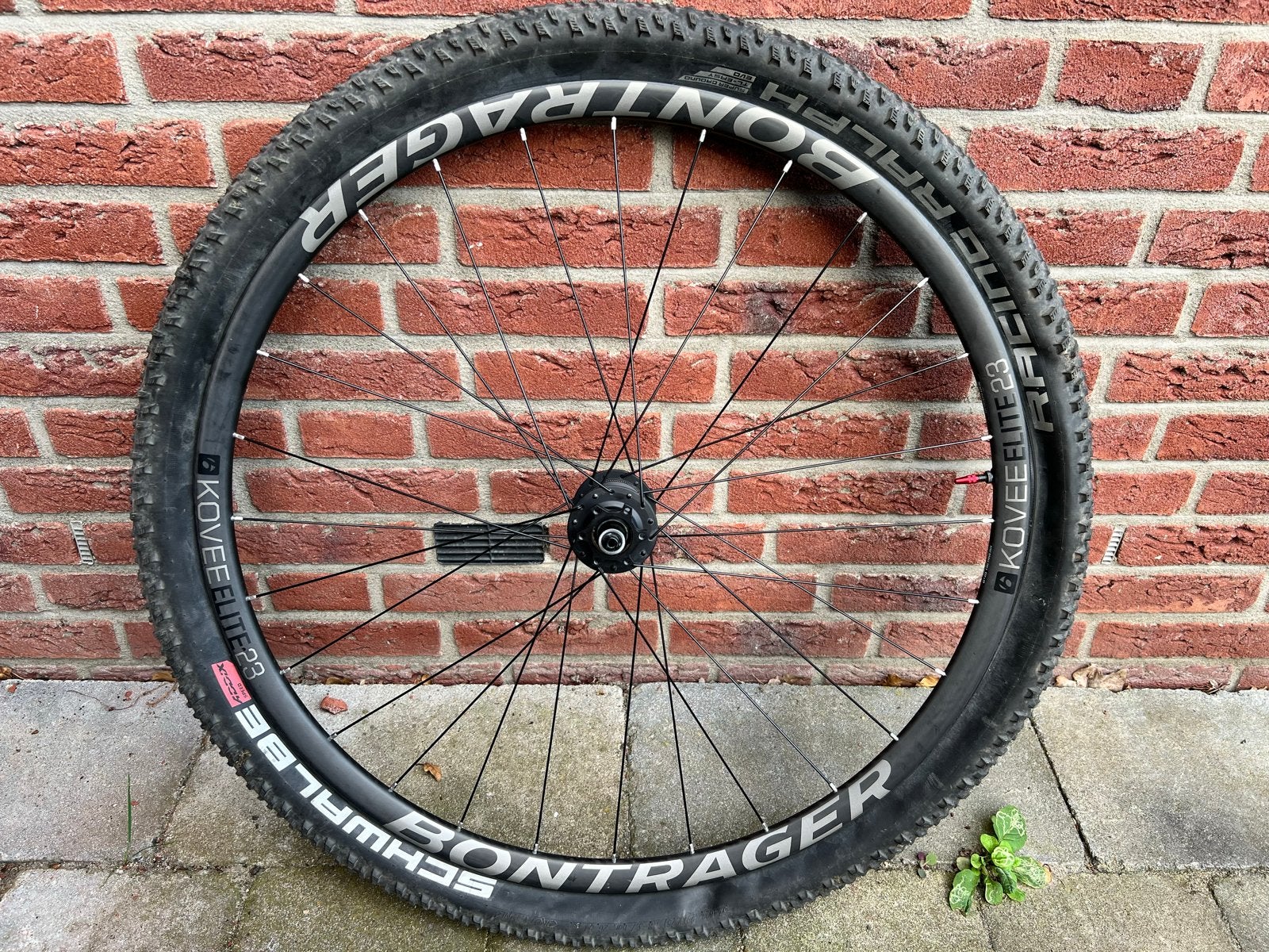Bontrager Kovee Elite 23 MTB Wielset - Zo goed als nieuw, Zo goed als nieuw, Mountainbike, Carbon, Ophalen