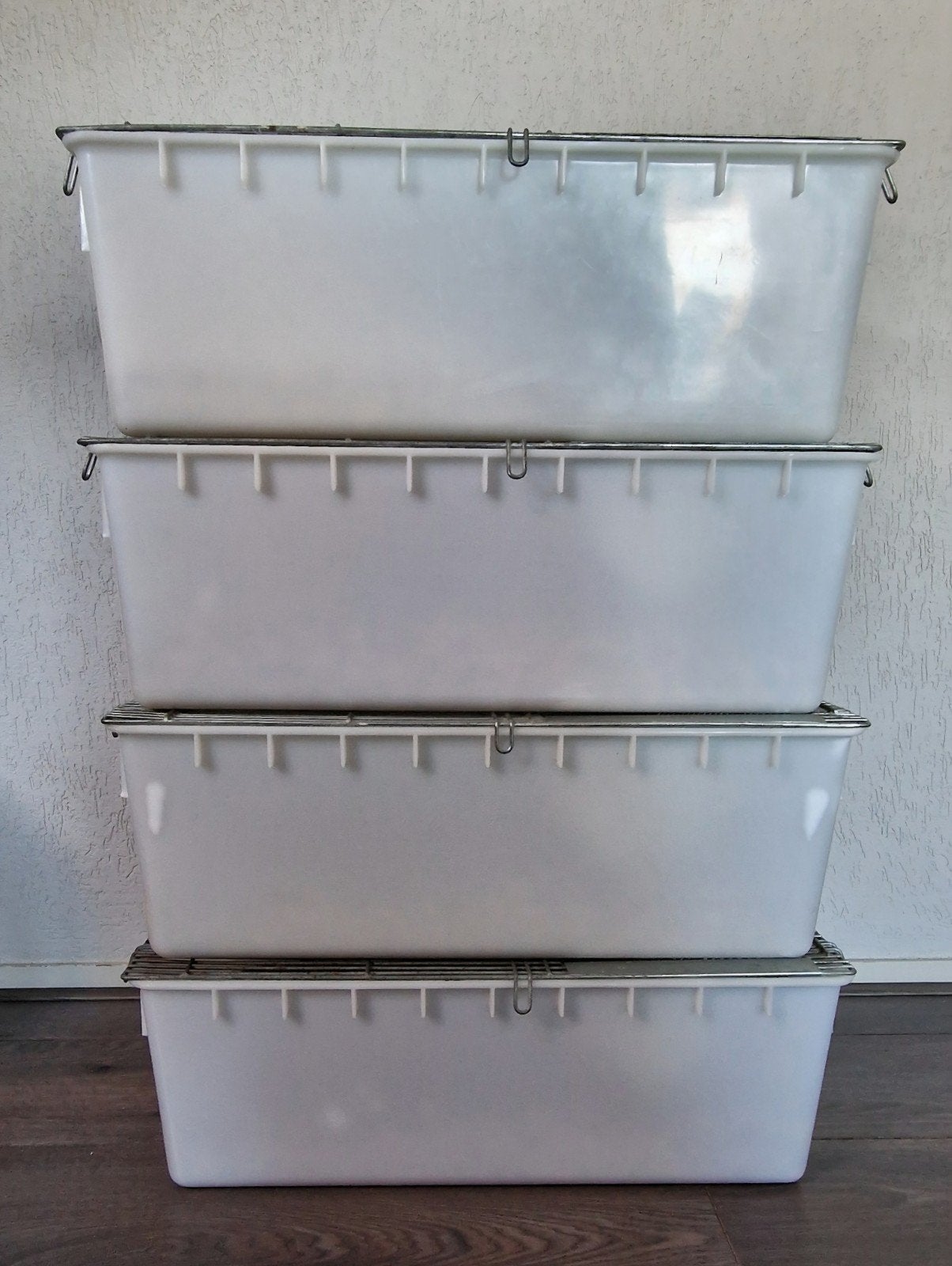 4x Labbak T4 in gebruikte nette en schone staat incl. Bottle, Minder dan 60 cm, Kooi, Gebruikt, Minder dan 75 cm