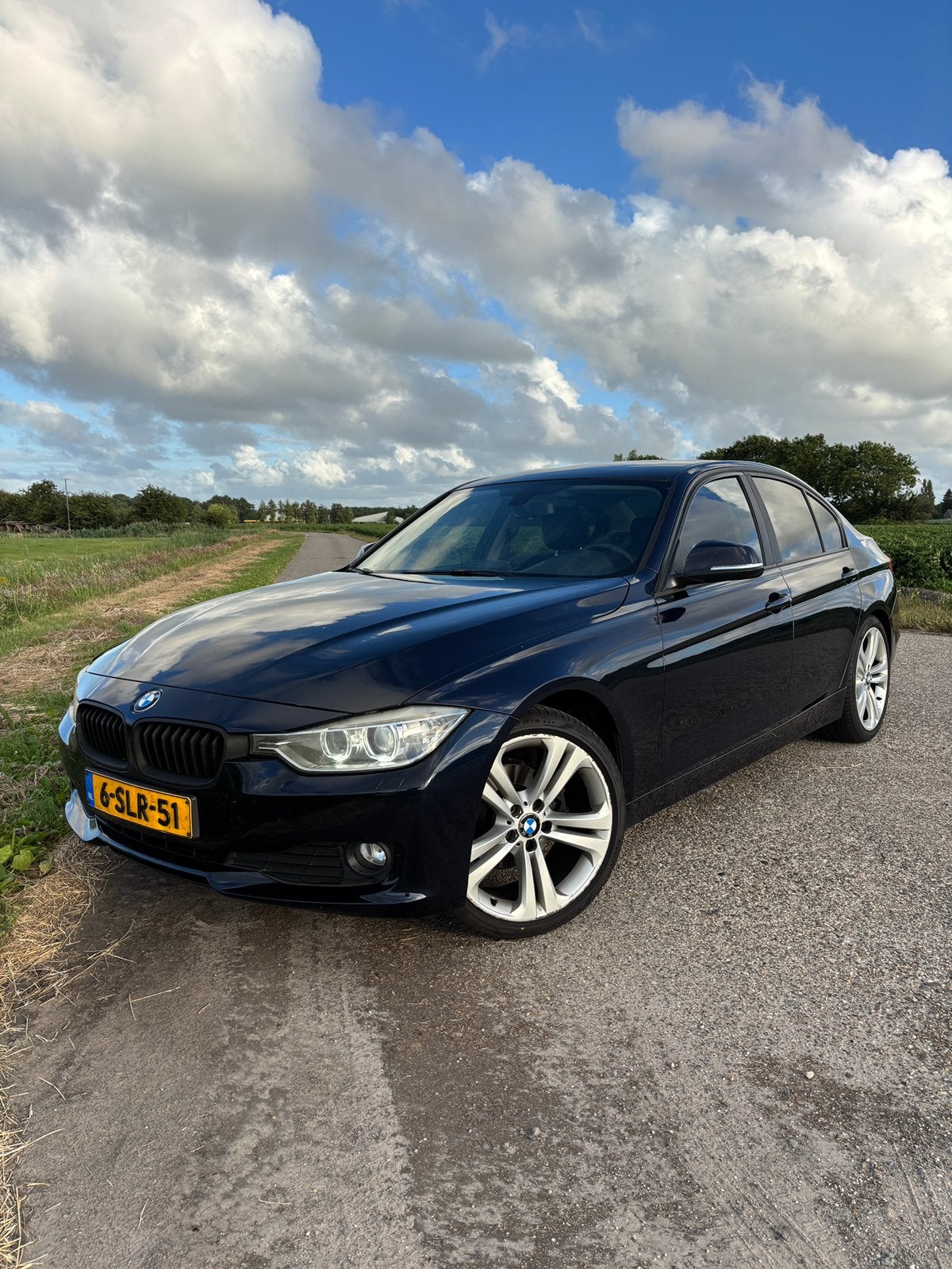 BMW 3-Serie 2.0D 320 EDE 120KW Aut8(f30) 2013 Blauw, Automaat, Achterwielaandrijving, 1995 cc, 4 cilinders