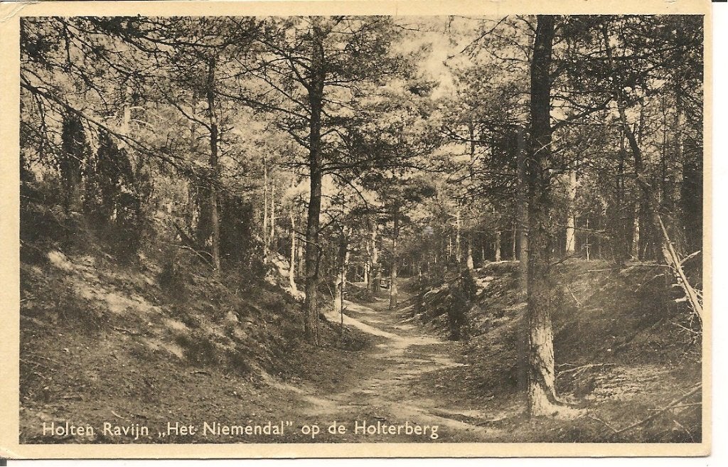 Ansichtkaart Holten Ravijn "Het Niemendal" Holterberg 1953, Verzamelen, Ophalen of Verzenden, 1940 tot 1960, Gelopen, Overijssel