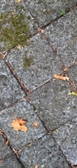 650m2 antraciet grijs koperslakkeien 16x16cm erfverharding n, Tuin en Terras, Bij dit gebruikte product niet te achterhalen, Gebruikt