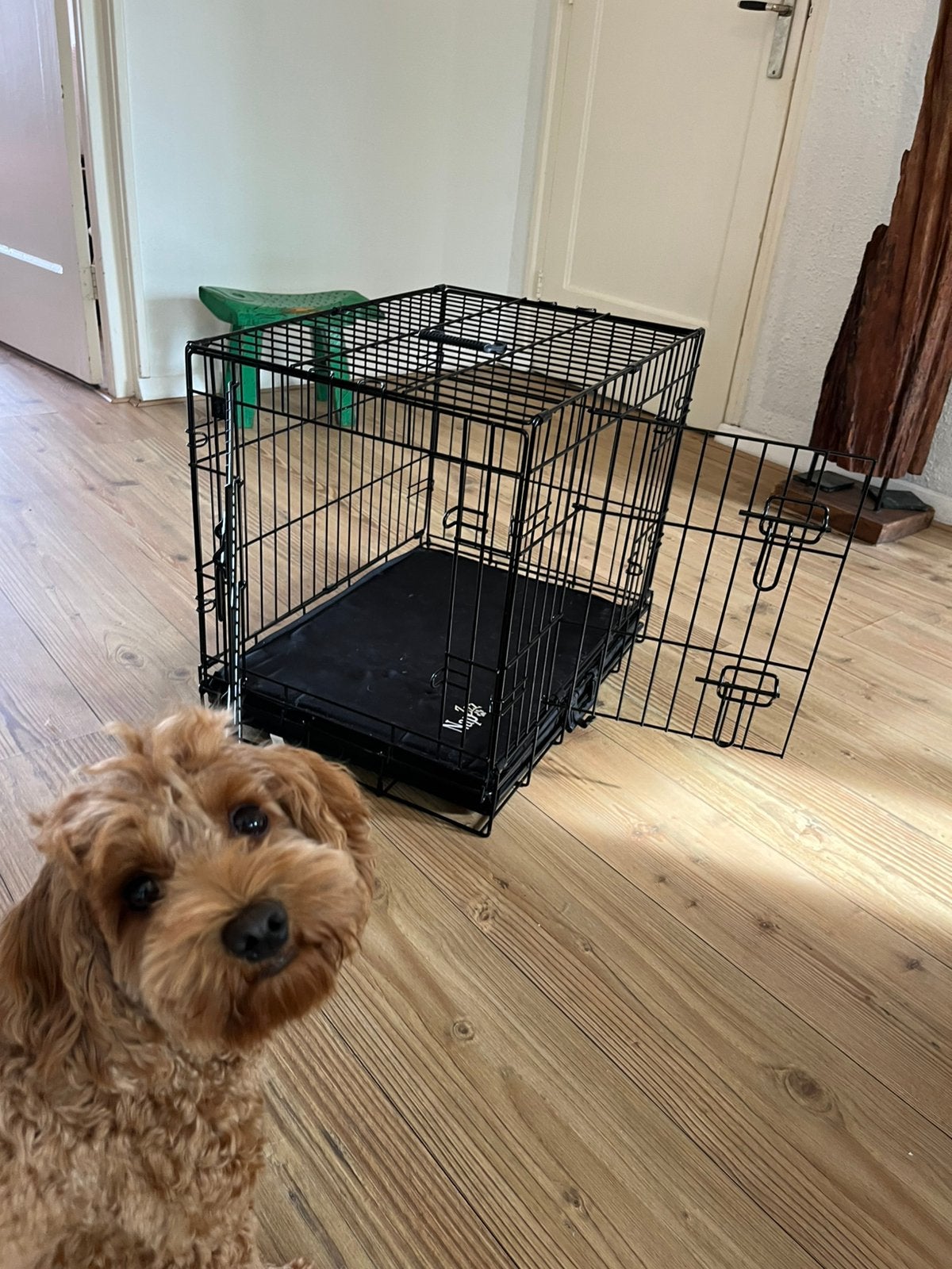 (2x) Puppy bench zwart opvouwbaar incl benchkussen, Ophalen, Gebruikt, Minder dan 75 cm, Minder dan 65 cm
