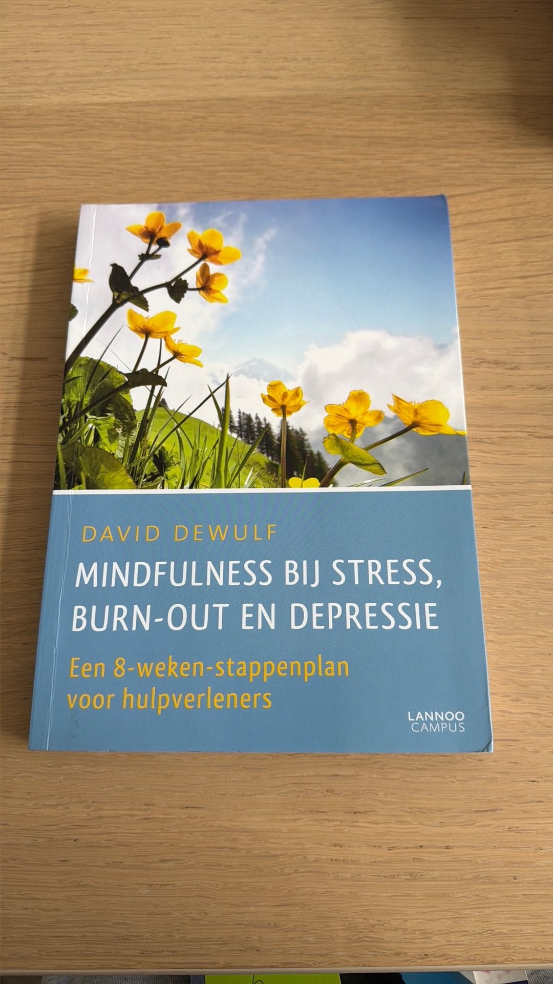 David Dewulf - Mindfulness bij stress, burn-out en depressie, Boeken, Sociale wetenschap, Ophalen of Verzenden, David Dewulf, Zo goed als nieuw