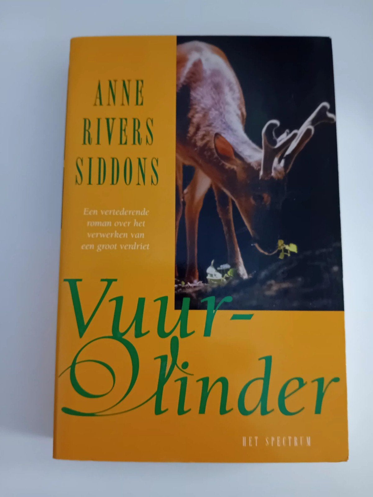 Vuurvlinder - Anne Rivers Siddons, Boeken, Ophalen of Verzenden, Zo goed als nieuw