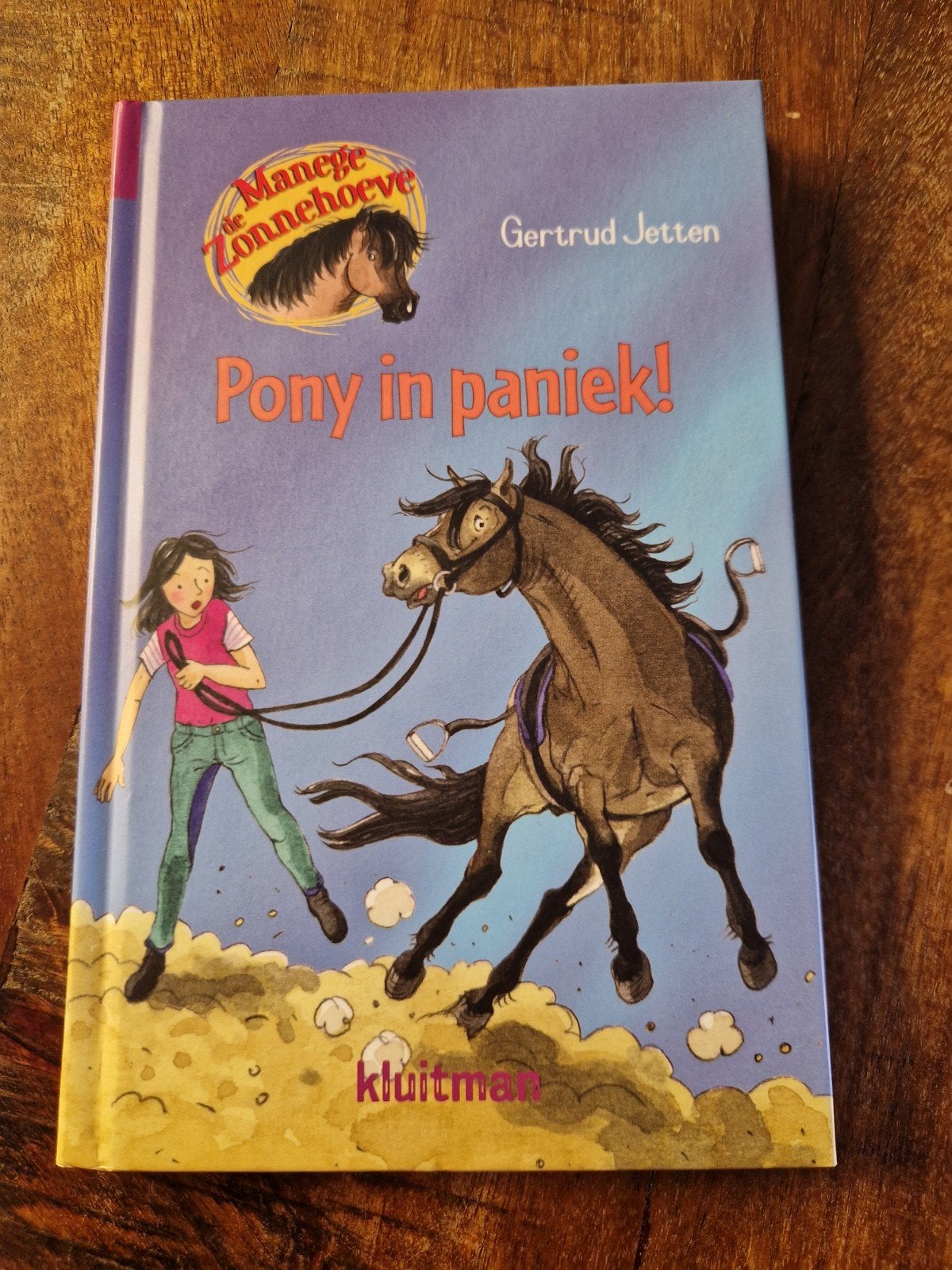 Manege de Zonnehoeve: Gertrud Jetten - Pony in paniek, Boeken, Kinderboeken | Jeugd | onder 10 jaar, Fictie algemeen, Ophalen of Verzenden