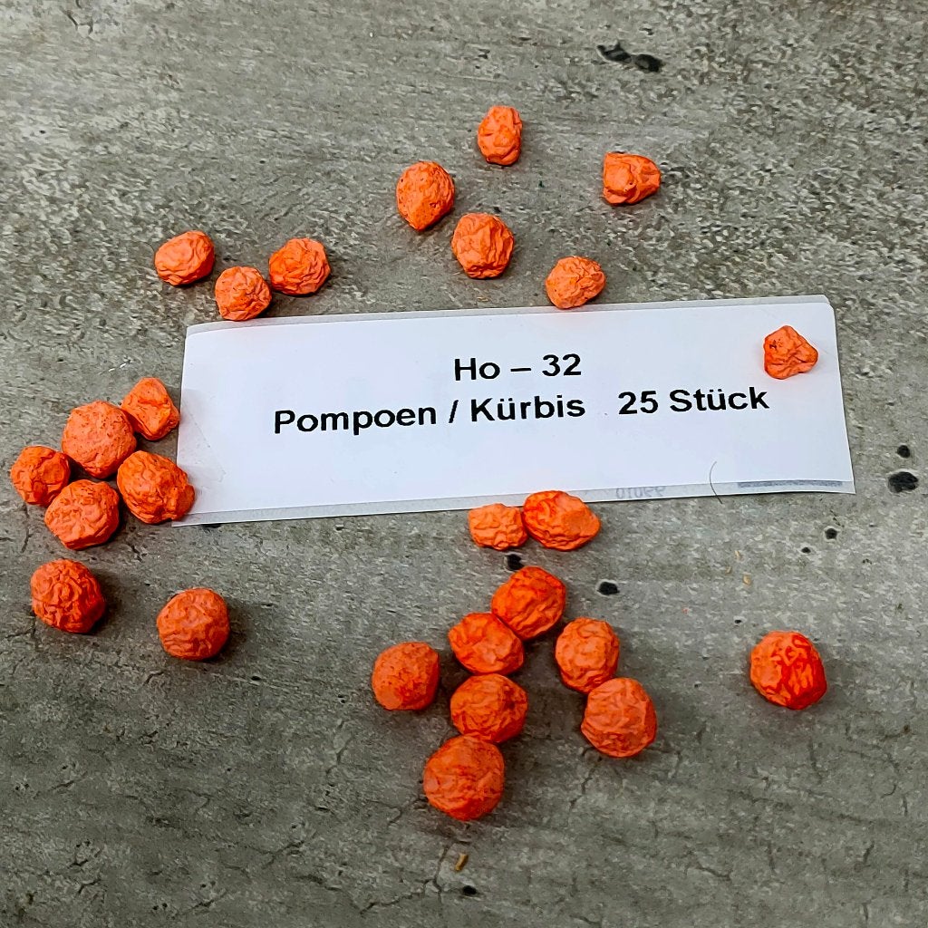 modeltrein Ho - 32   Pompoenen, Overige merken, Gelijkstroom, Natuur, Nieuw