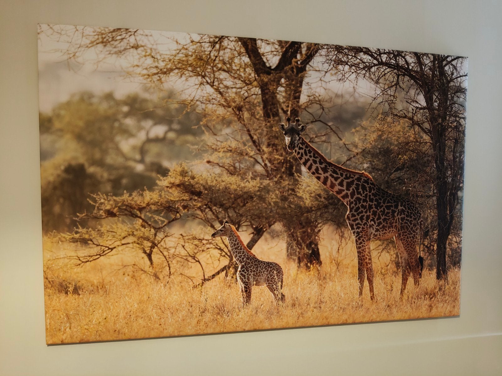 Canvas schilderij giraf 150x100 cm, Ophalen, 100 tot 125 cm, 75 – 100, Print