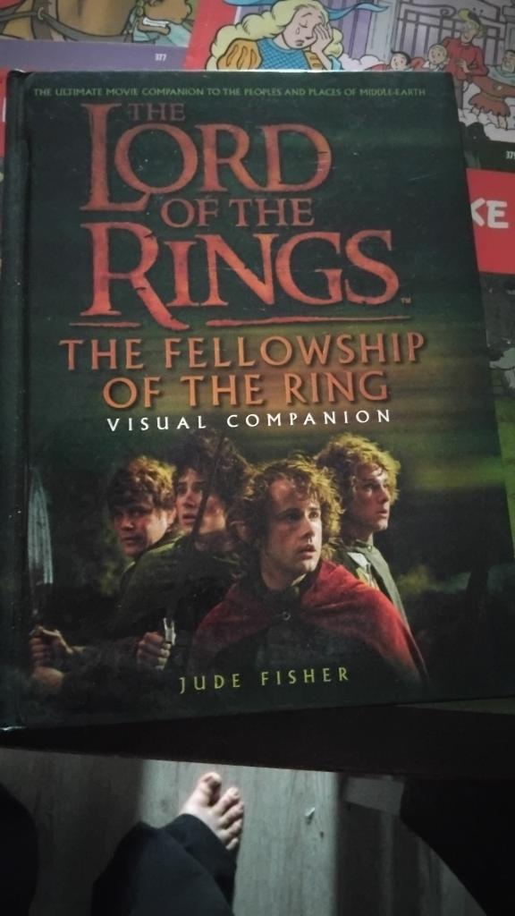2x Engelse Lord of the rings, Ophalen of Verzenden, Gebruikt, Boek of Poster