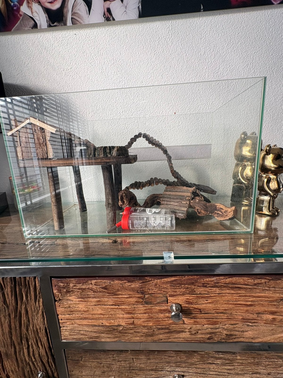 Hamsterkooi/verblijf, Dieren en Toebehoren, Ophalen, Kooi, 60 tot 90 cm, Minder dan 75 cm