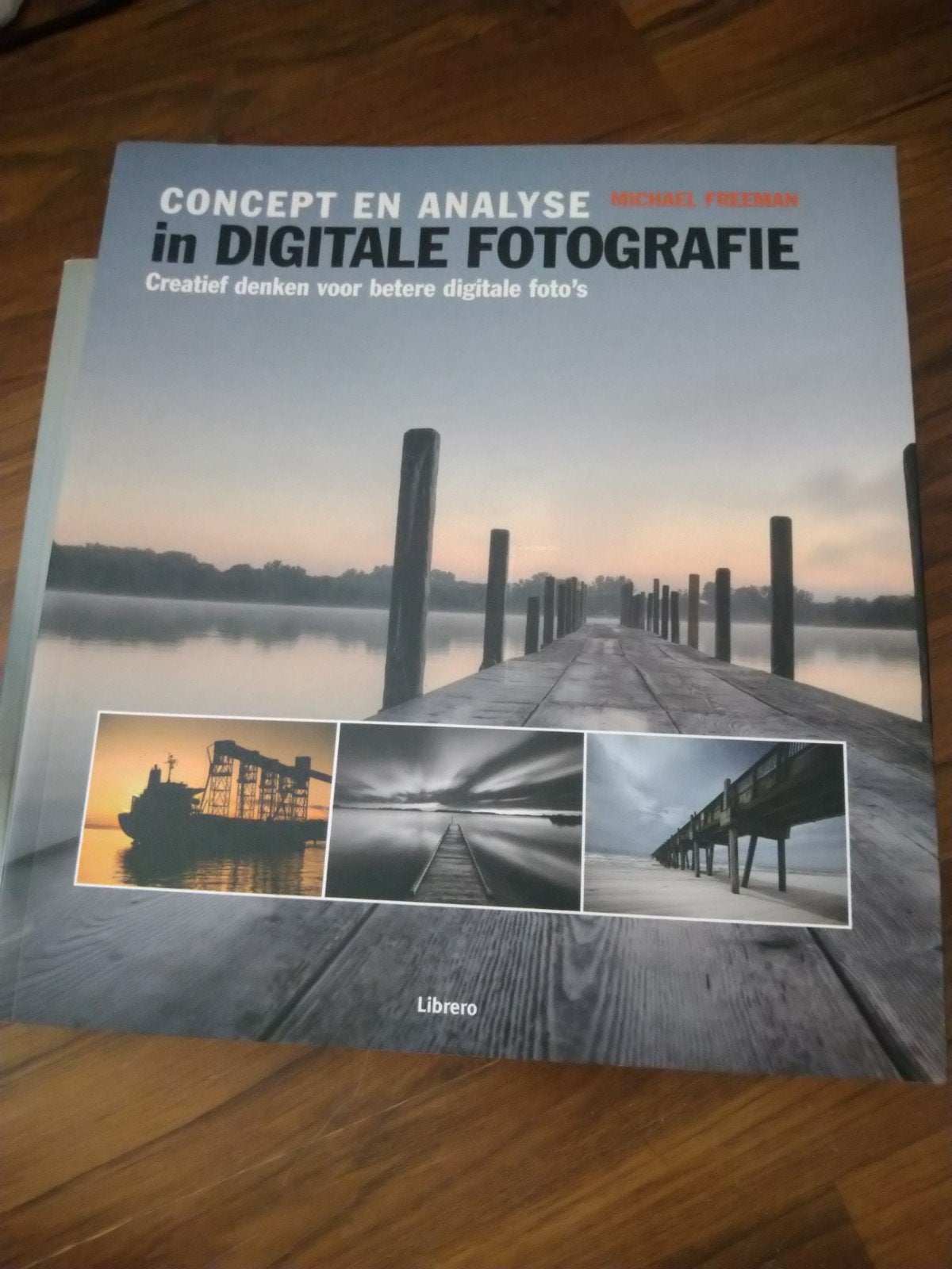 Mylo Freeman - Concept en analyse in digitale fotografie, Boeken, Ophalen of Verzenden, Gelezen, Mylo Freeman
