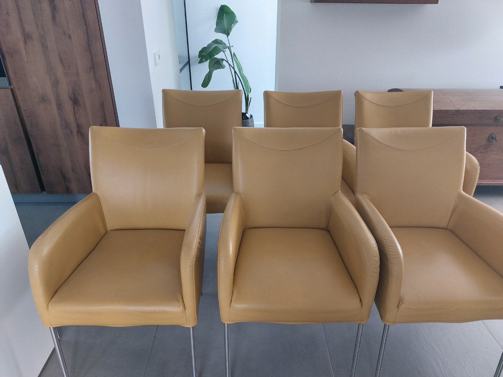 6 Bert Plantagie designstoelen, Ophalen, Gebruikt, Overige kleuren, Design