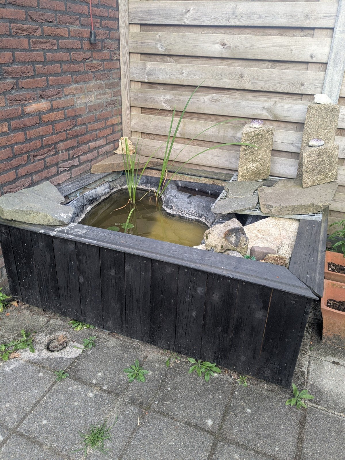 Gratis : vijverombouw met toebehoren voor 17 augustus!, Tuin en Terras, Vijvers, Ophalen, Gebruikt