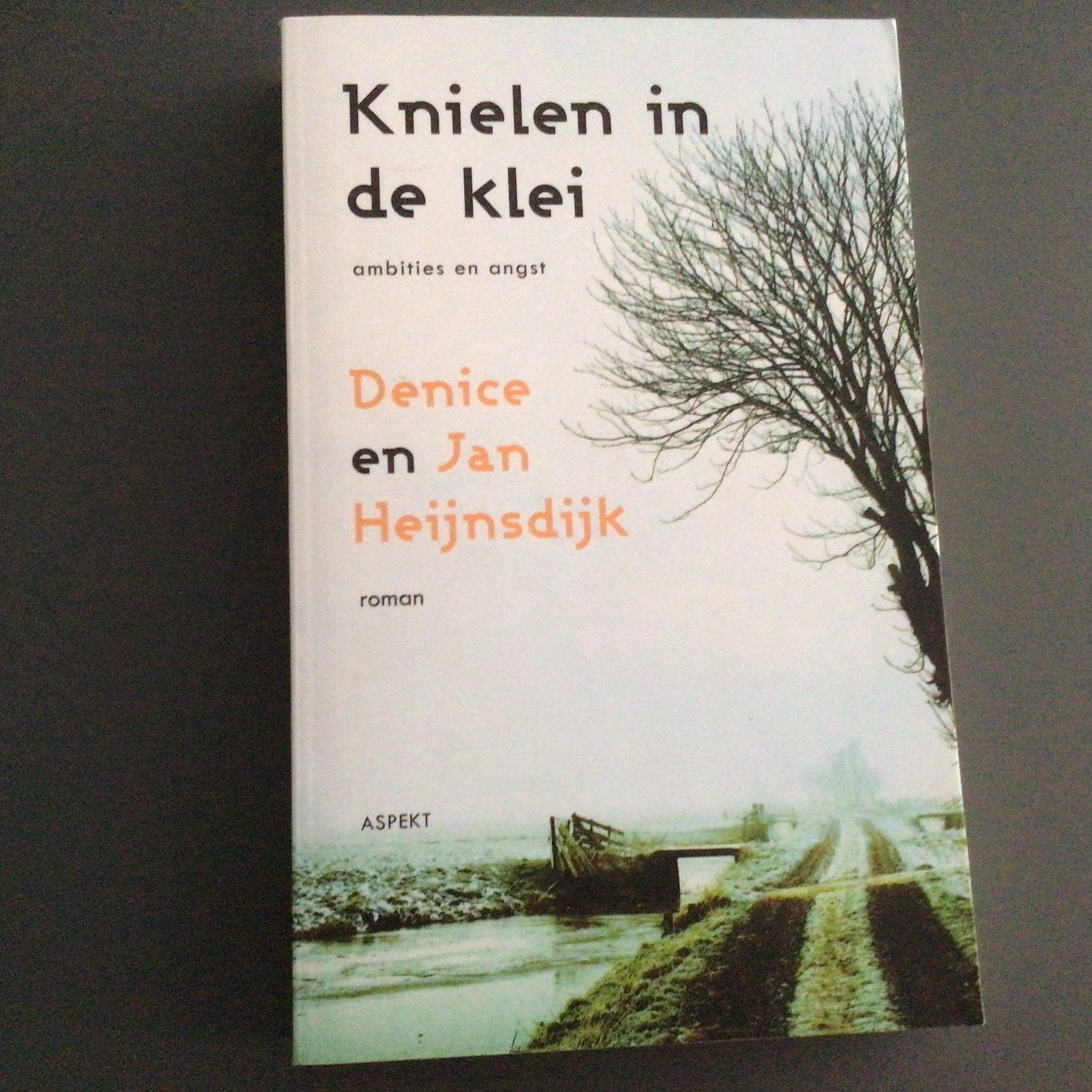 Denice en Jan Heijnsdijk - Knielen in de klei, Ophalen of Verzenden, Zo goed als nieuw, Nederland, Jan Heijnsdijk; Denise Heijnsdijk