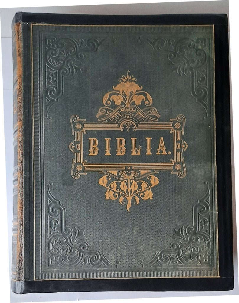 Biblia Statenbijbel 1885, Ophalen of Verzenden, Bijbel