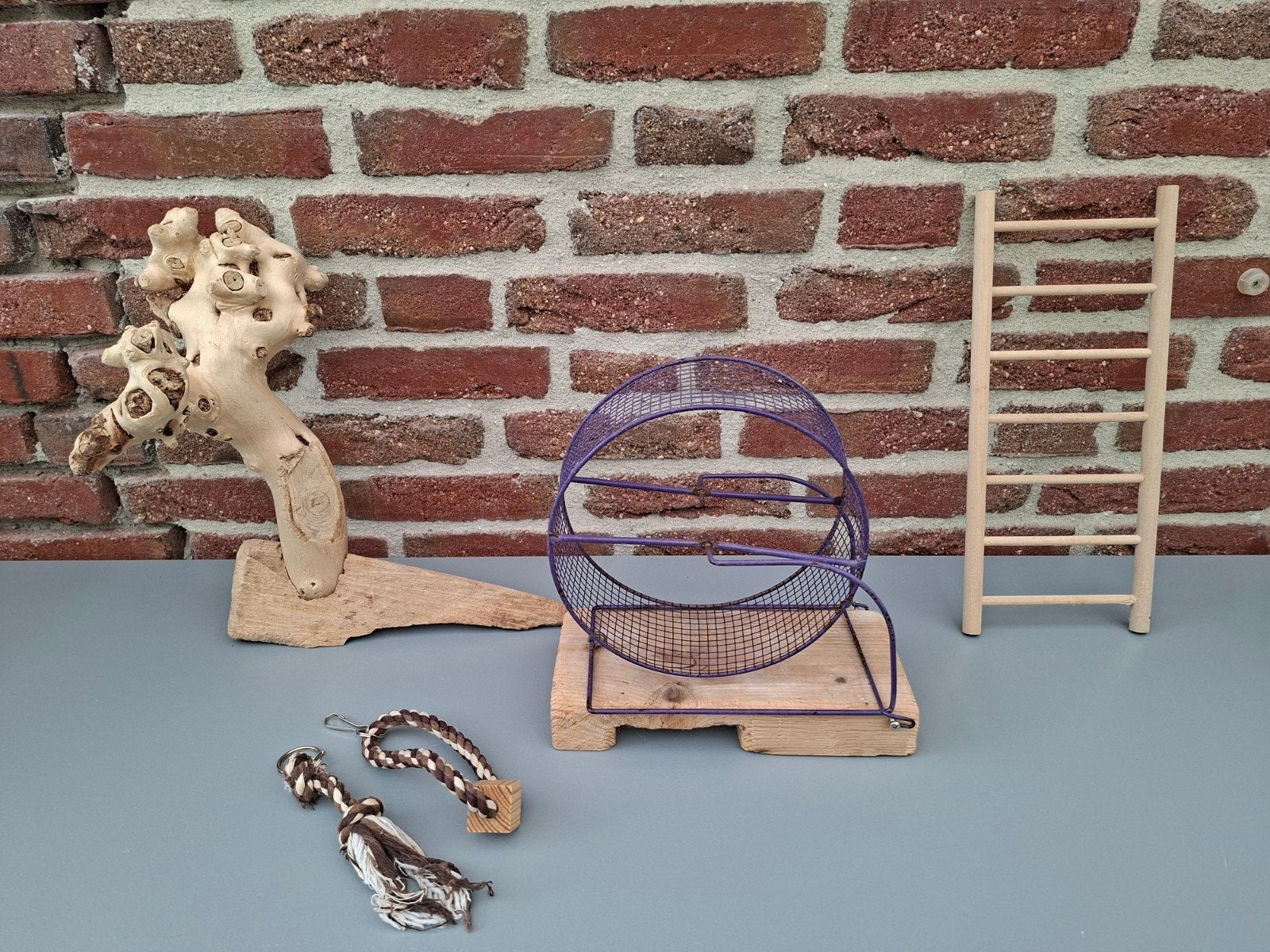 Accessoires hamsterkooi / gerbilkooi  (foto's 1-8), Ophalen