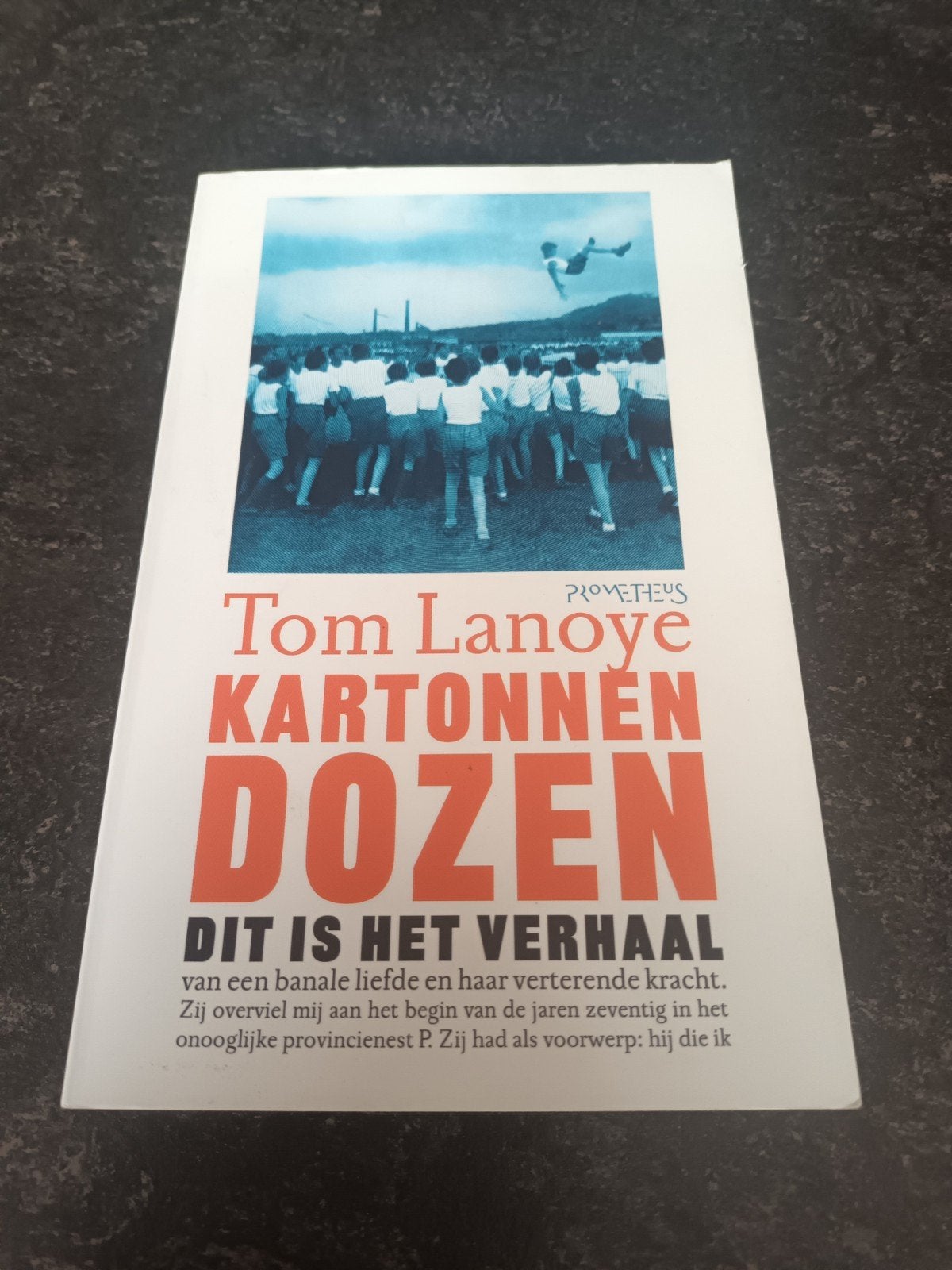 Tom Lanoye - Kartonnen dozen, Ophalen of Verzenden, Zo goed als nieuw, Tom Lanoye