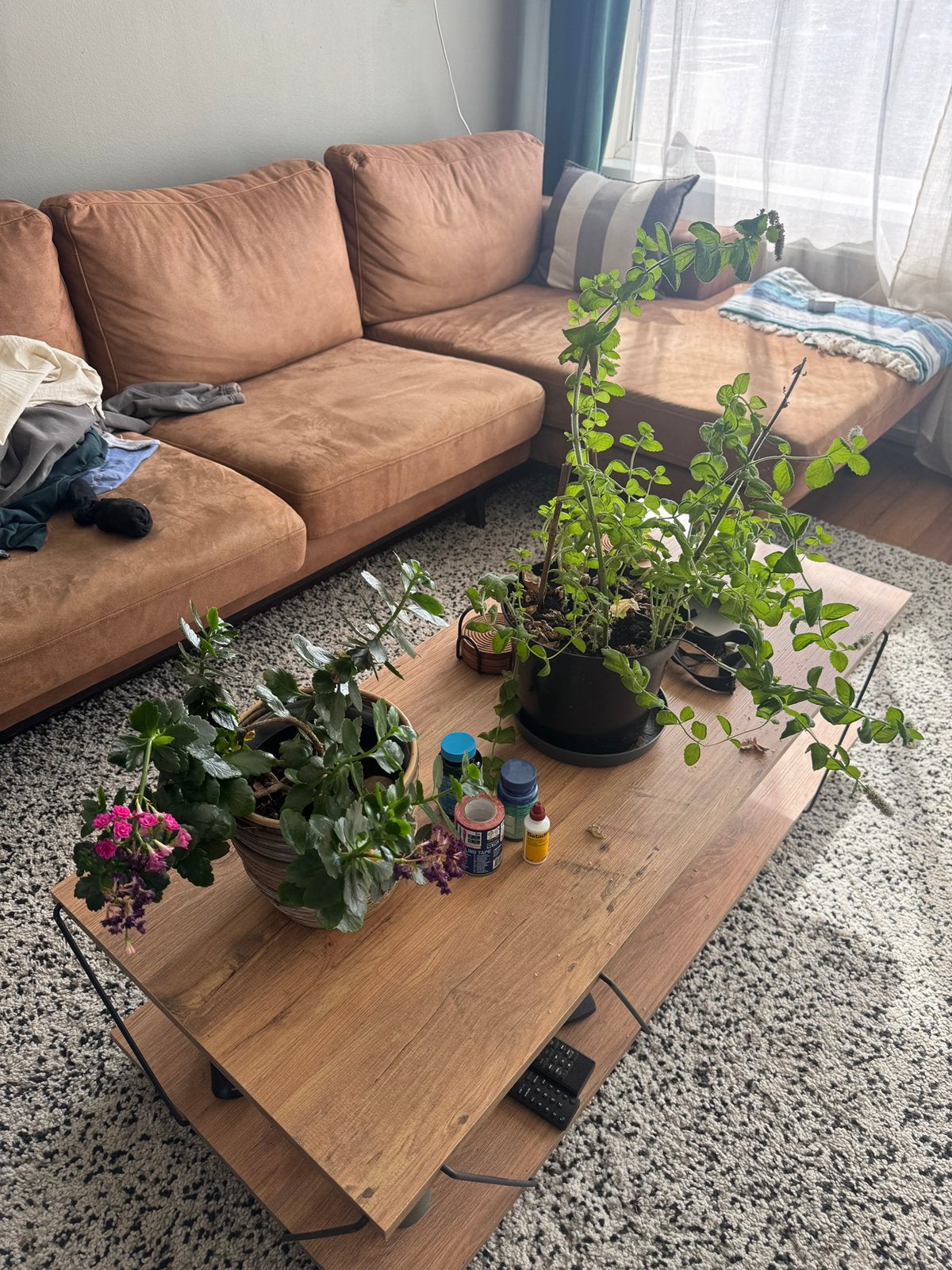 Houten salontafel met zwart metalen frame, Ophalen, 100 tot 150 cm, 50 tot 100 cm, Zo goed als nieuw
