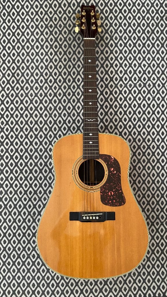 WASHBURN D21S/N solid top dreadnought gitaar, Ophalen, Gebruikt, Western- of Steelstringgitaar