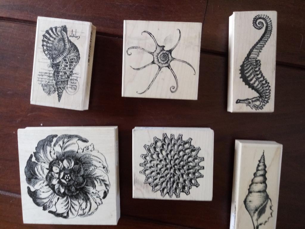 Stempels van Ludiec (different colors) en Posthumus, Hobby en Vrije tijd, Stempelen, Ophalen of Verzenden, Zo goed als nieuw, Clearstamp