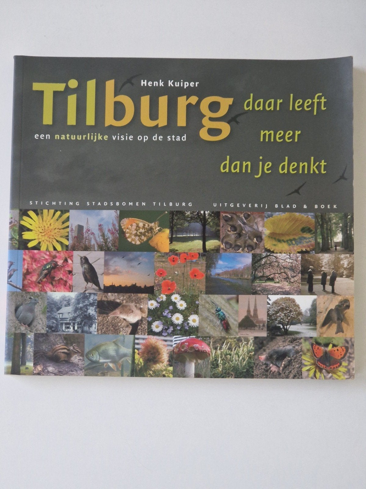 "Tilburg daar leeft meer dan je denkt" - Henk Kuiper, Ophalen
