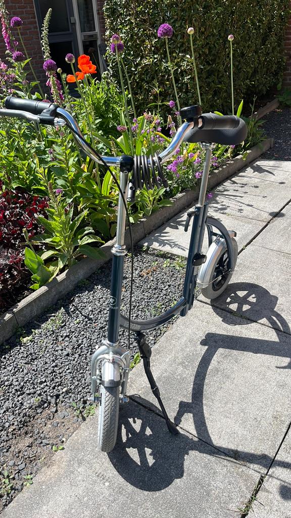 Van Raam Loopfiets voor volwassenen, Fietsen en Brommers, Ophalen, Zo goed als nieuw