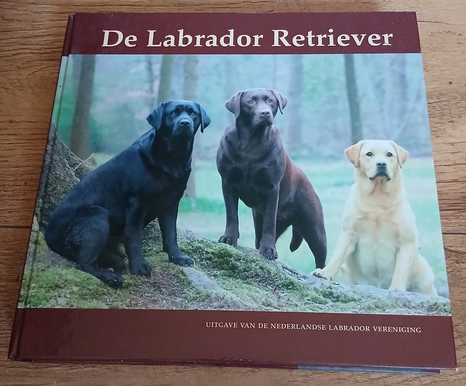 De Labrador Retriever, Ophalen of Verzenden, Gelezen, Honden