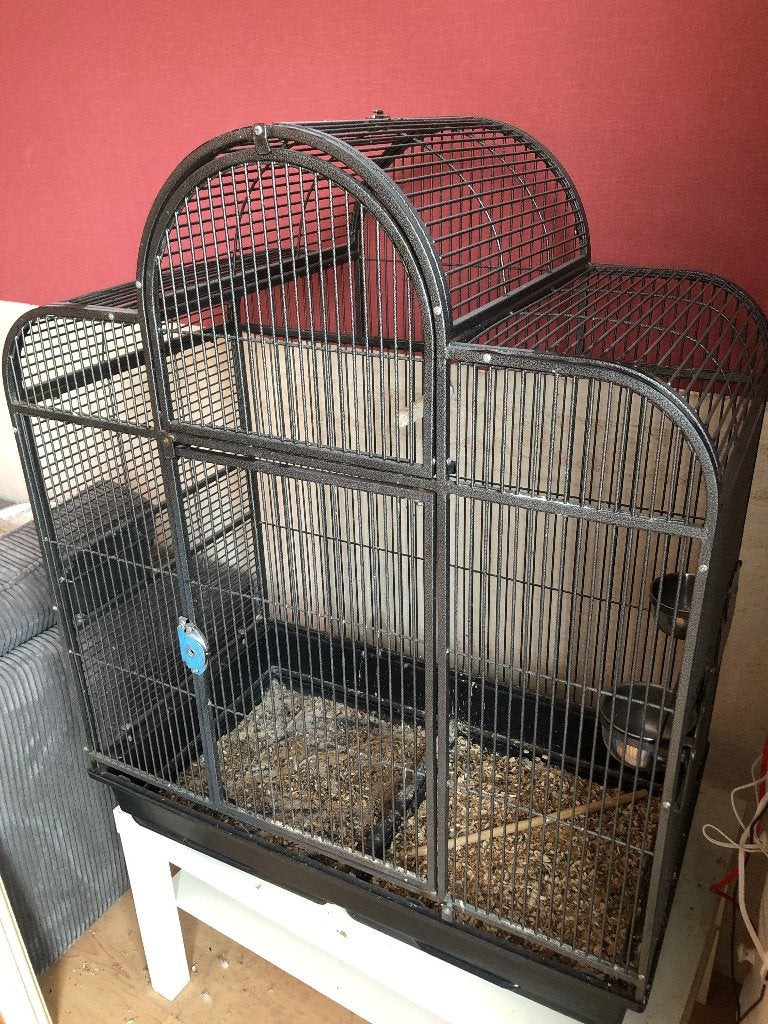 Gratis af te halen grote papegaai kooi, Dieren en Toebehoren, Ophalen, Gebruikt, Metaal, Vogelkooi