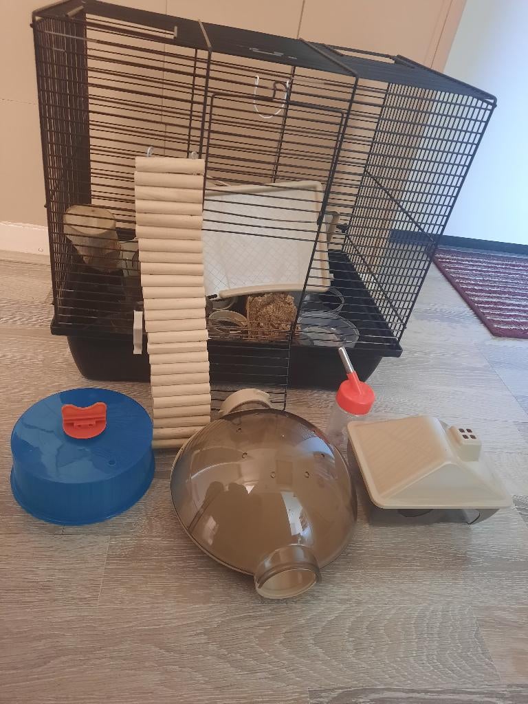 Hamsterkooi, Kooi, Gebruikt, Minder dan 75 cm, Ophalen