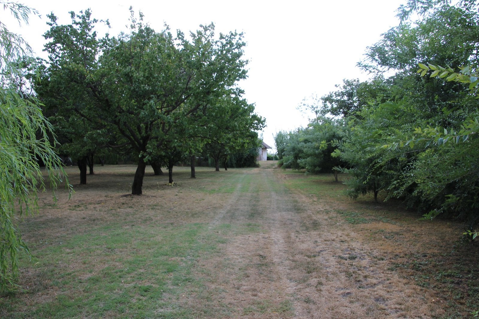 Bouwgrond + aanlendend agricultural perceel in Hongarije