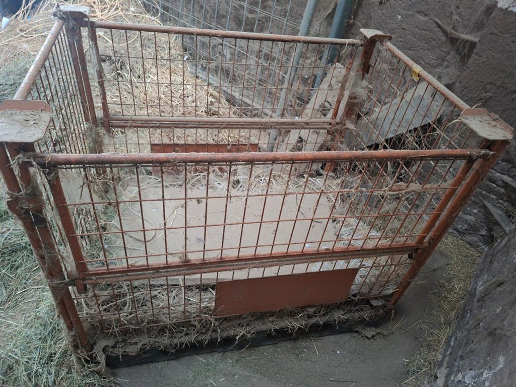 Gitterbox, Ophalen of Verzenden, 110 cm of meer