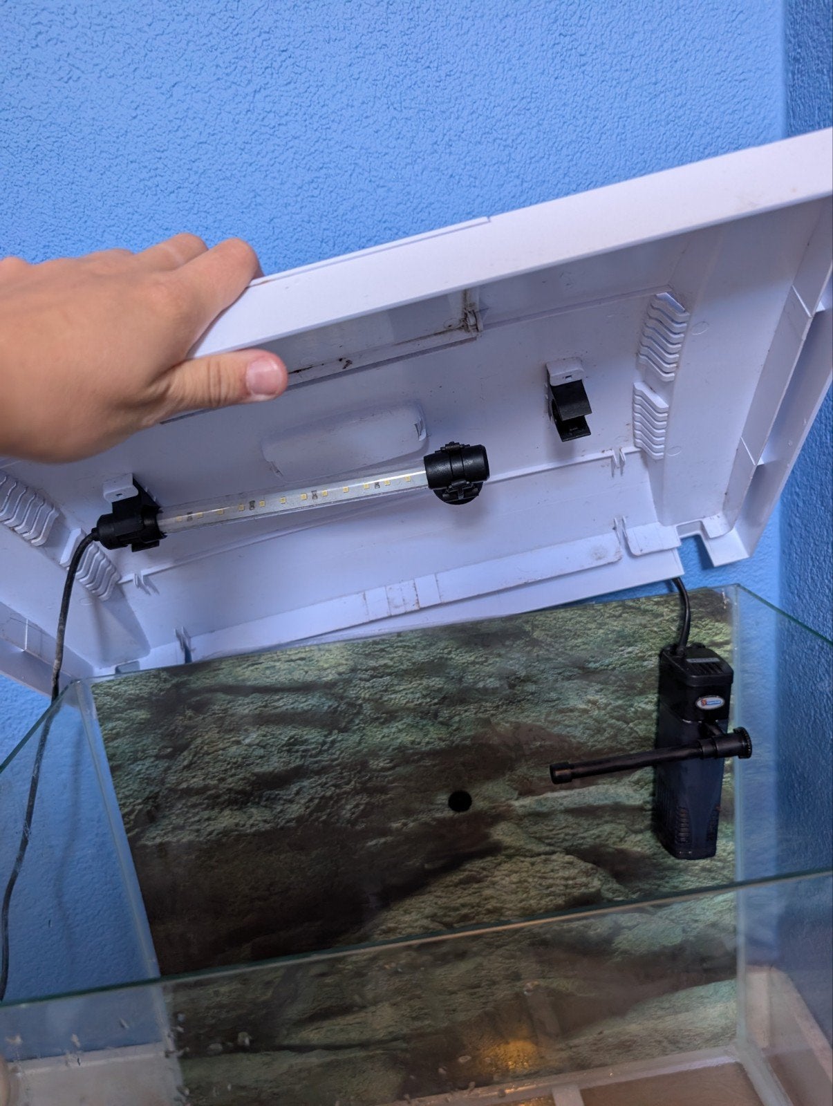 aquarium, Dieren en Toebehoren, Vissen | Aquaria en Toebehoren, Ophalen, Gebruikt, Leeg aquarium