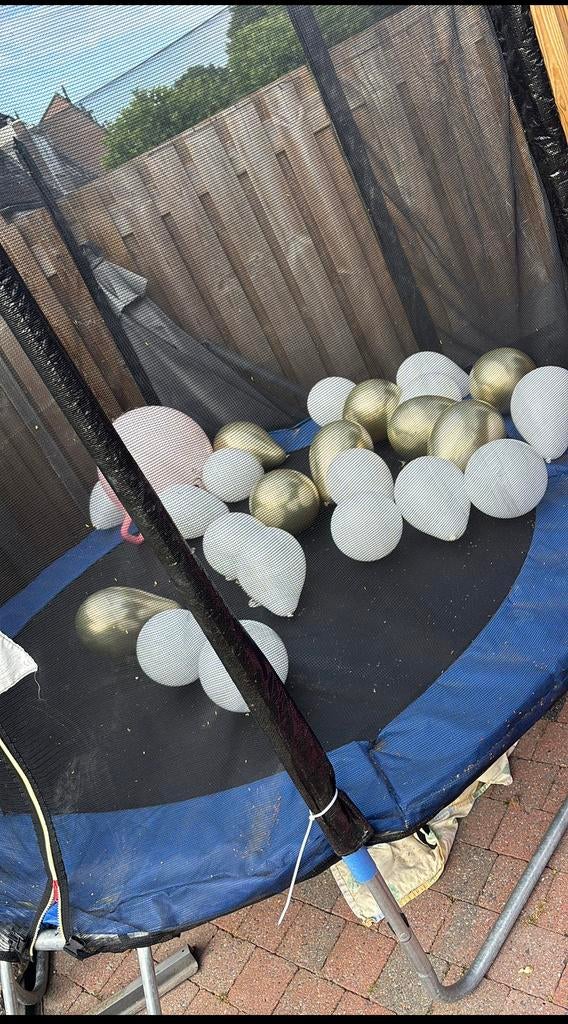 Trampoline 250 diameter, Ophalen of Verzenden, Zo goed als nieuw
