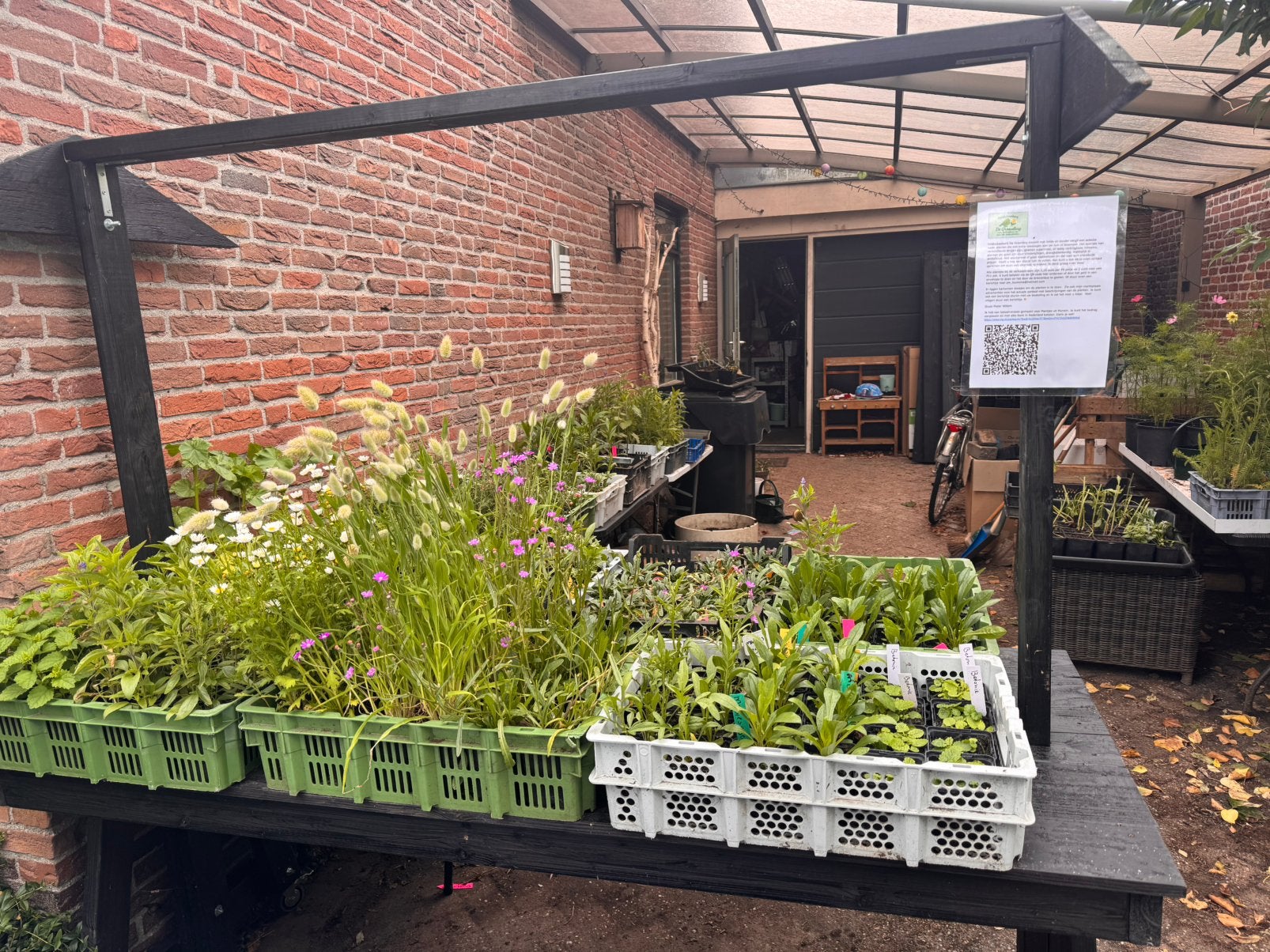 Goed gevulde plantenkraam (WK aanbieding 6-de plant gratis), Tuin en Terras, Ophalen, Overige soorten, Volle zon