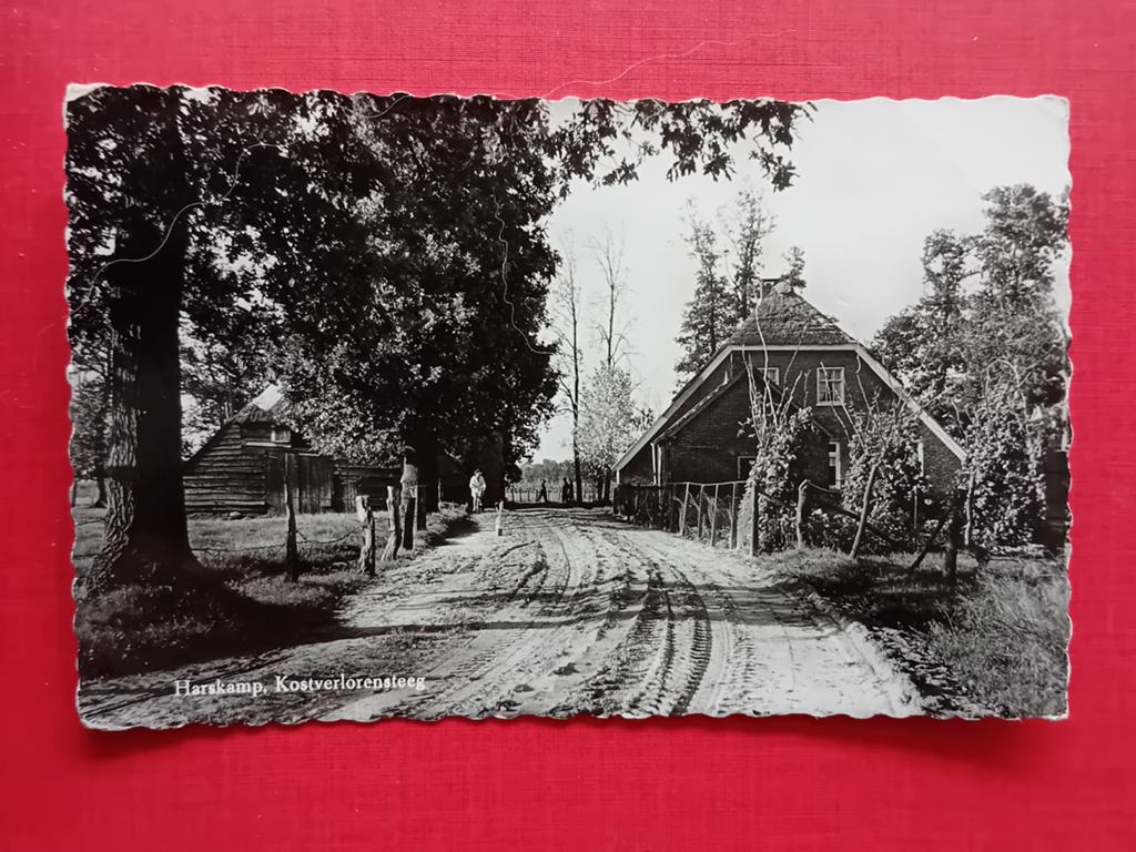 Ansichtkaart Harskamp, Ophalen of Verzenden