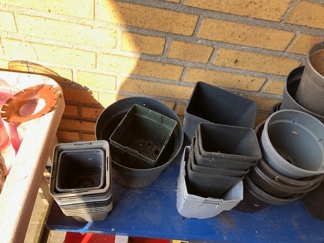 div, plastic kweekpotjes / plantpotjes  afhalen, Tuin en Terras, Ophalen, Gebruikt, Overige typen