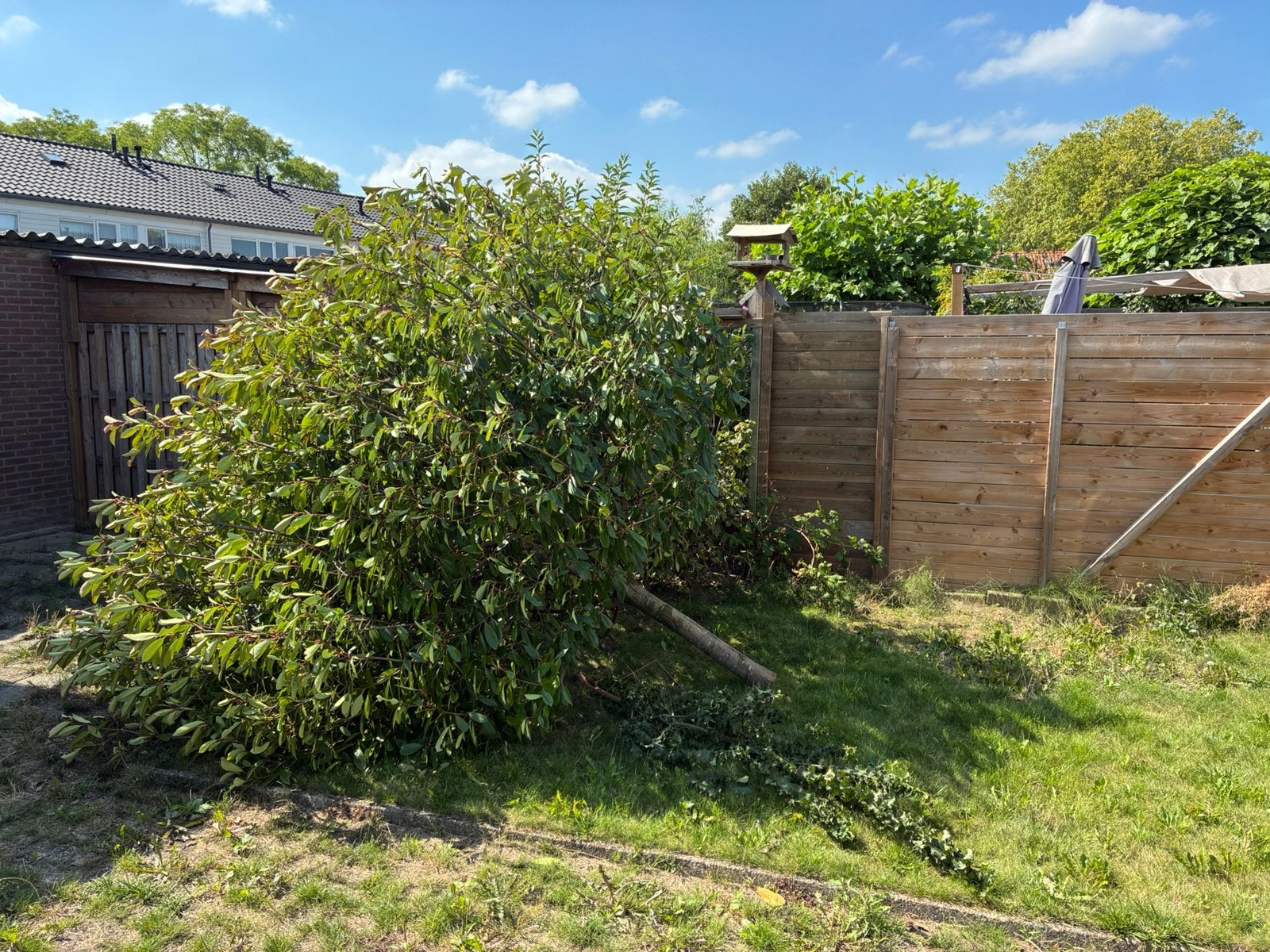 Boom gratis af te halen (brand hout), Ophalen, Minder dan 3 meter, Hout, 1 tot 2 meter