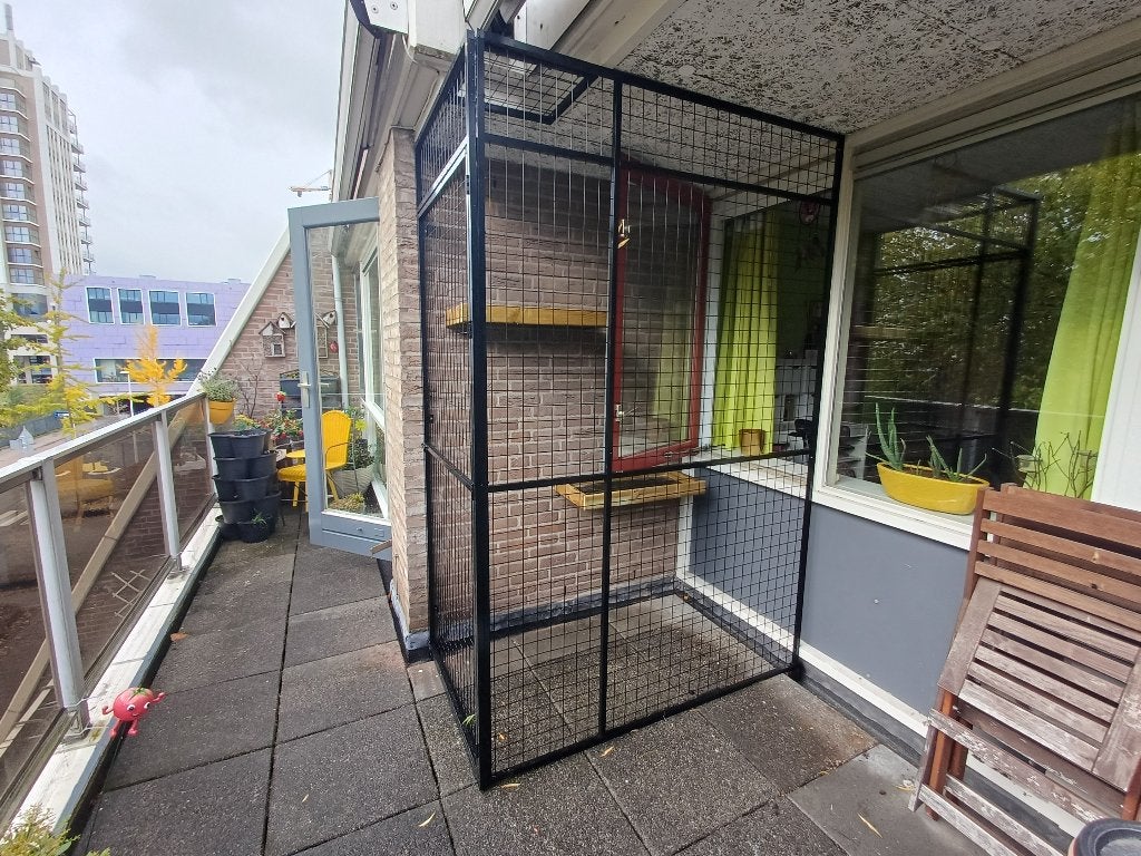Kattenren de Graaf-Zoetemeer | Maatwerk | Duurzaam materiaal, Ophalen of Verzenden, Nieuw