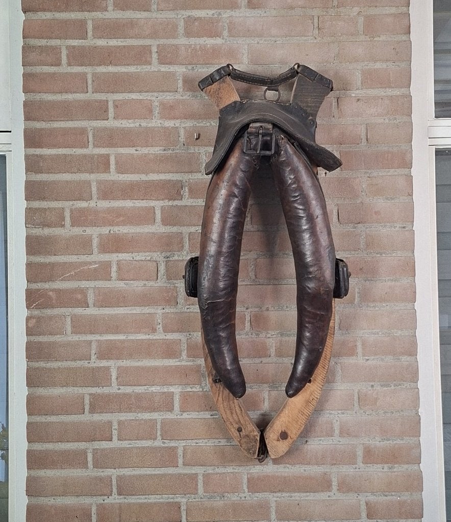 Paardenhaam, Ophalen, Gebruikt, Bruin, Overige merken