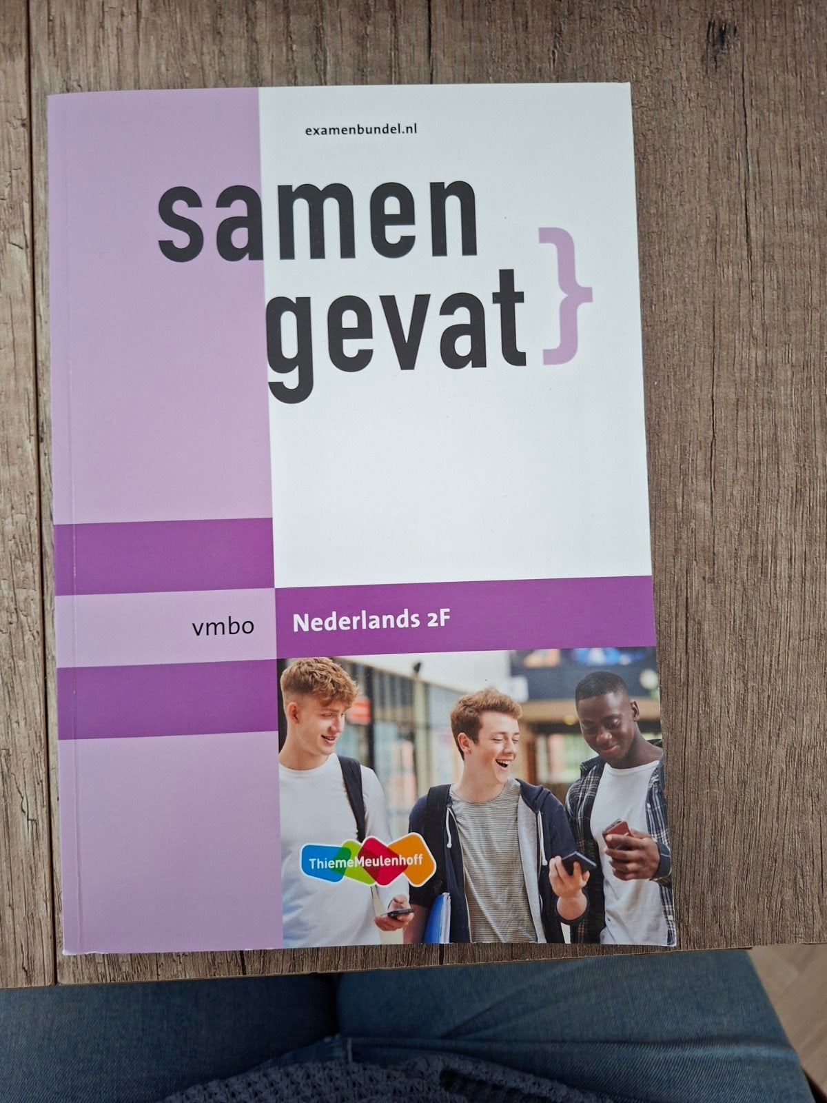 Samengevat Nederlands 2F VMBO - Thiememeulenhoff, Boeken, Schoolboeken, VMBO, Ophalen of Verzenden, Zo goed als nieuw, Joep van Nassau