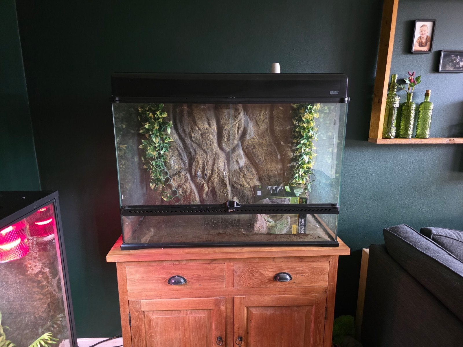 Exo Terra Pro Terrarium Large Tall 90x45x60cm, Dieren en Toebehoren, Ophalen, Gebruikt, Terrarium of Paludarium