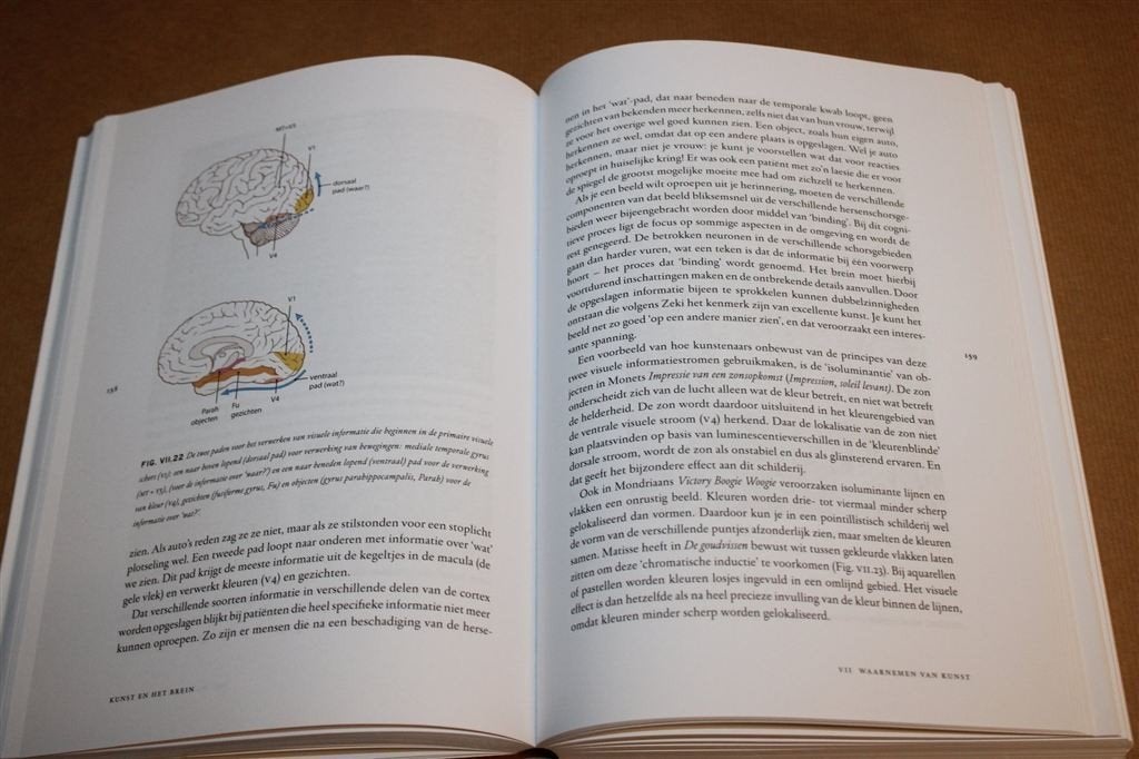 Ons Creatieve Brein — Dick Swaab over Mens en Omgeving, Ophalen of Verzenden, Gelezen, Ontwikkelingspsychologie