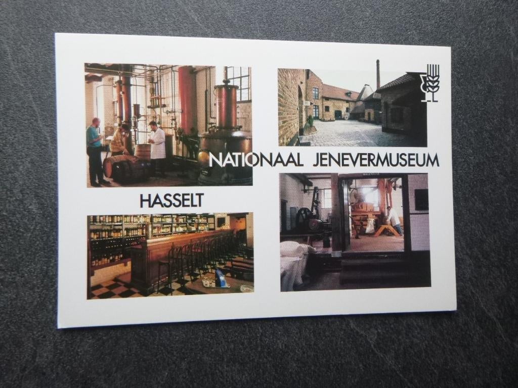 Hasselt, nat. Jenever museum/interieur, Verzamelen, Verzenden, 1980 tot heden, Ongelopen, Noord-Brabant