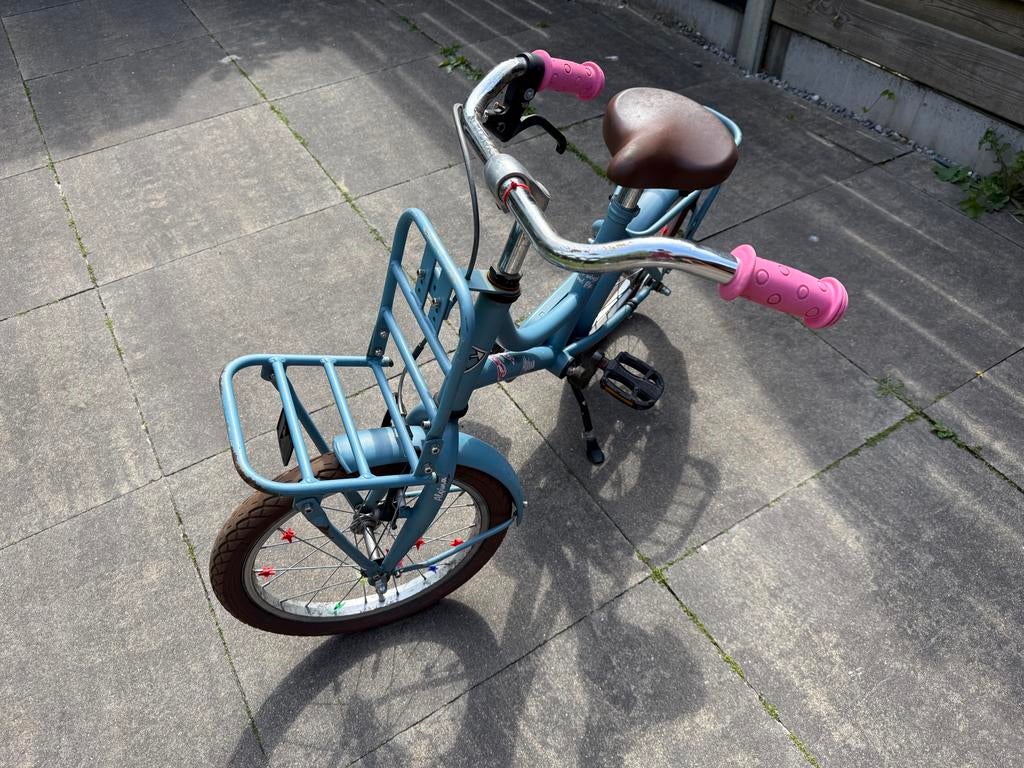 Kinderfiets 16 inch met voordrager en terugtraprem, Ophalen, Gebruikt, Terugtraprem, 16 tot 20 inch