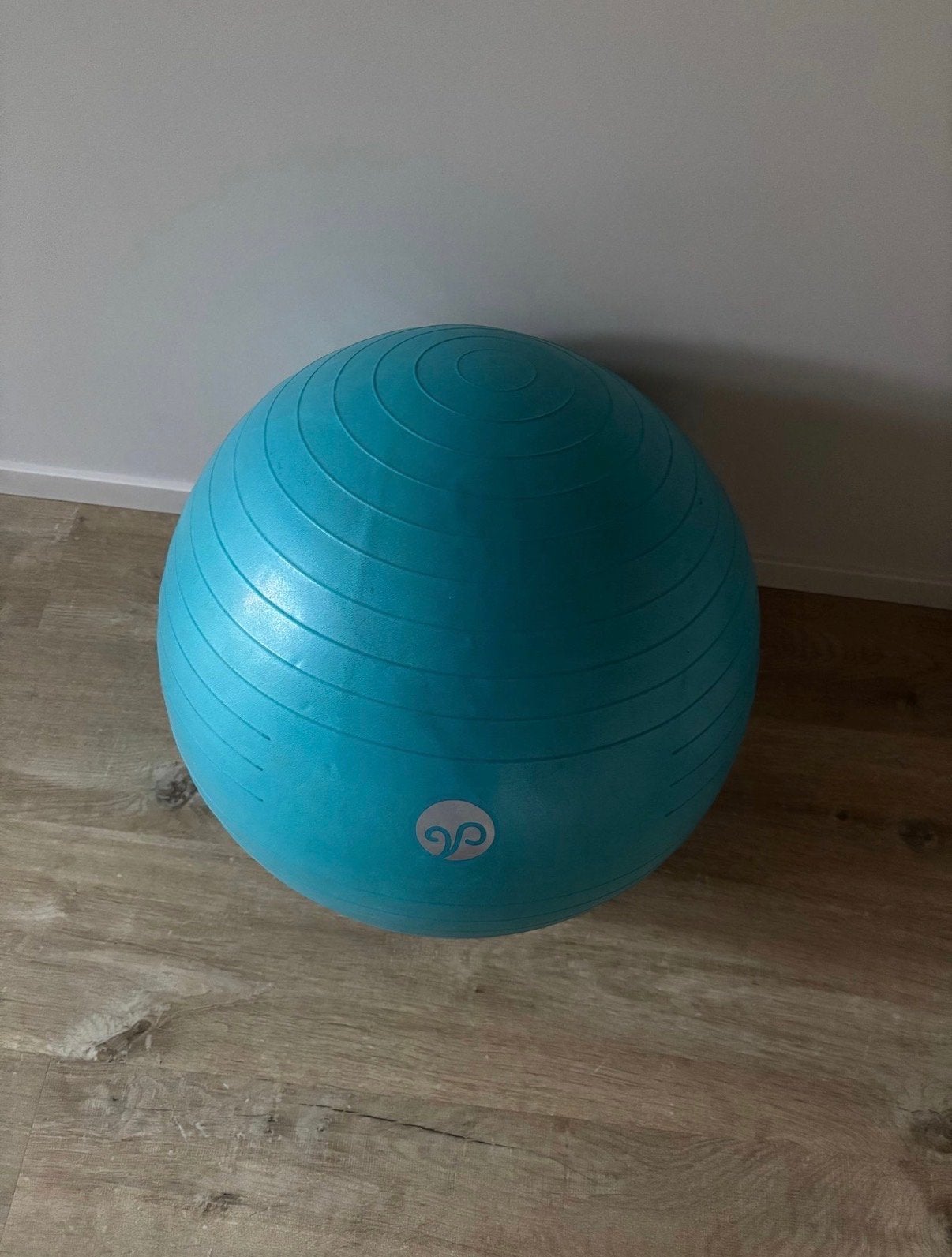 Fitnessbal / Yogabal / zwangerschapsbal 50 cm, Ophalen, Gebruikt, Buik, Fitnessbal