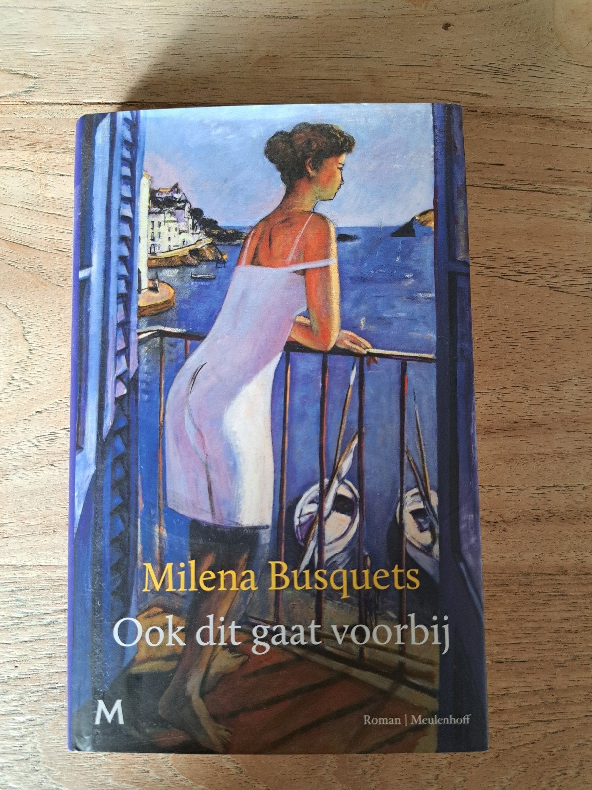 Ook dit gaat voorbij - Milena Busquets (Roman), Ophalen of Verzenden, Zo goed als nieuw, Milena Busquets, Europa overig
