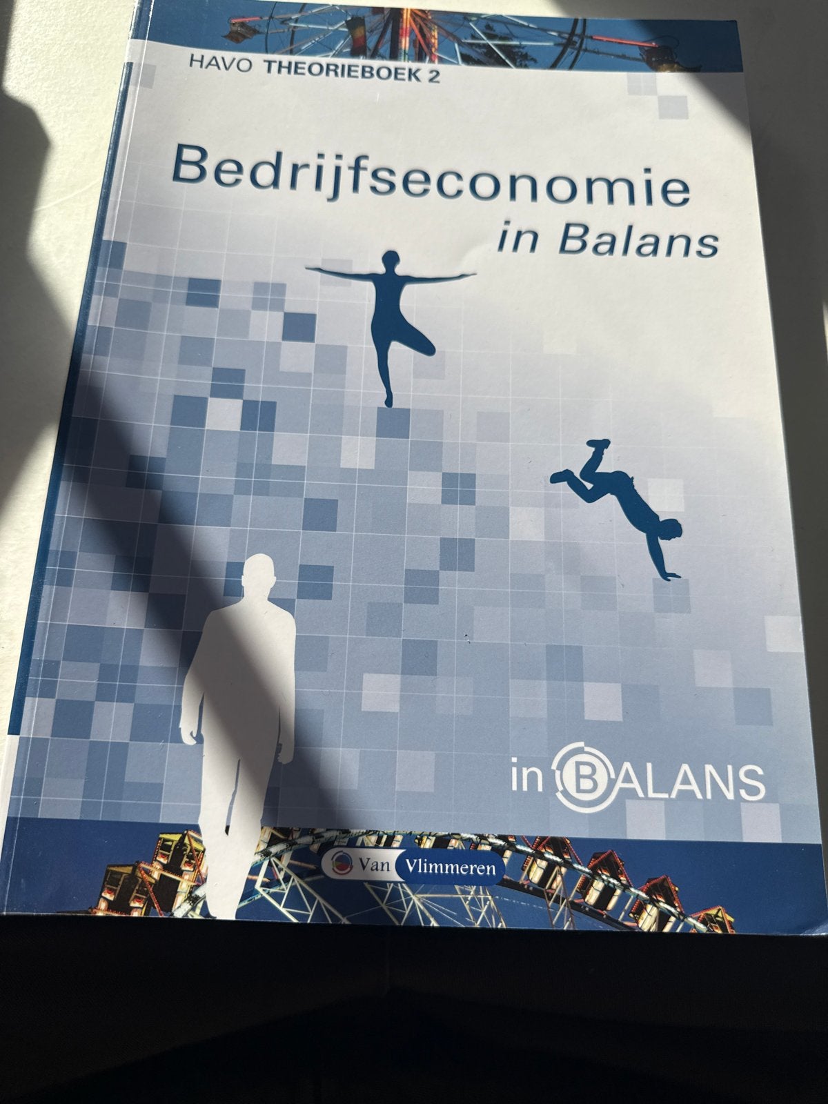 Bedrijfseconomie in Balans HAVO Theorieboek 2, Boeken, Ophalen of Verzenden, Zo goed als nieuw, HAVO, Bedrijfseconomie of M&O